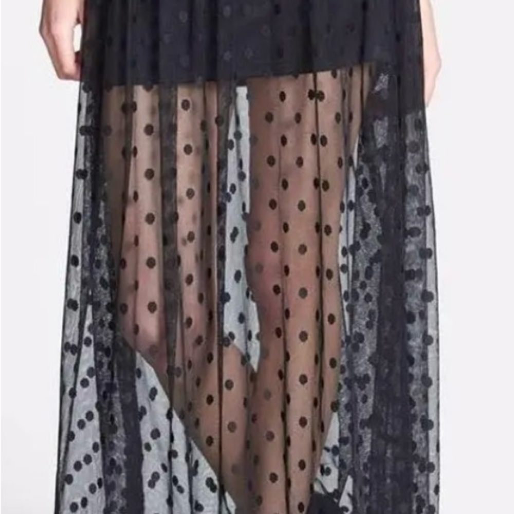 Astr Black Sheer Polka Dot Maxi Skirt